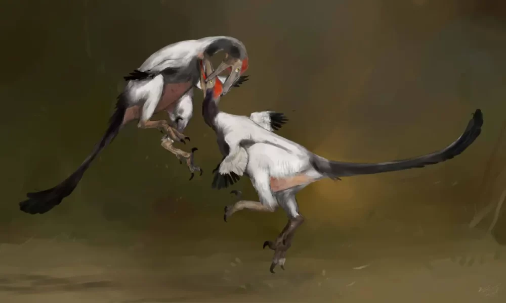 Вимерлий світ | Austroraptor