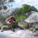 image_12003e-tiliqua-frangens