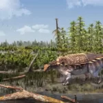 vectipelta_barretti-novataxa_2023-pond_strachan_raven_simpson_morgan_maidment