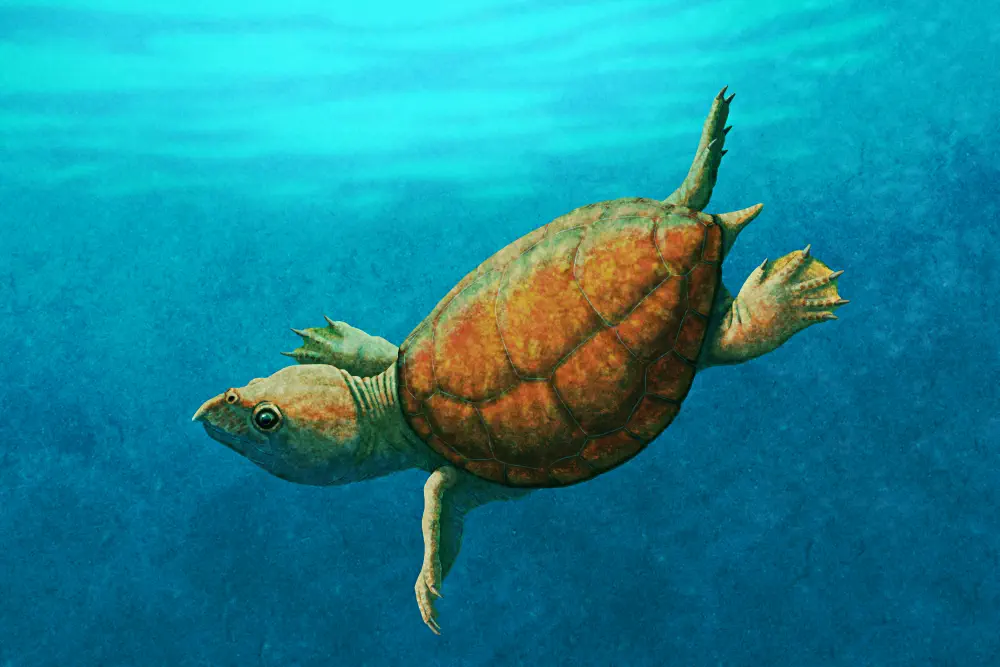 Вимерлий світ | Solnhofia Вимерлий світ | Solnhofia