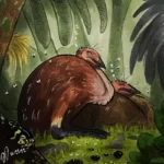 mullerornis_modestus_pareja