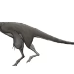 tyrannomimus_fukuiensis