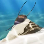 trilobites__ampyx_priscus__by_paleoalberca_dg9f7zh-414w-2x