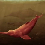 ancient-giant-dolphin