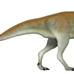 chakisaurus