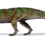 ticinosuchus_bw