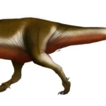 zhuchengtyrannus_magnus_reconstruction