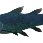 euporosteus_yunnanensis_by_gogosardina_d4vvvnl-fullview