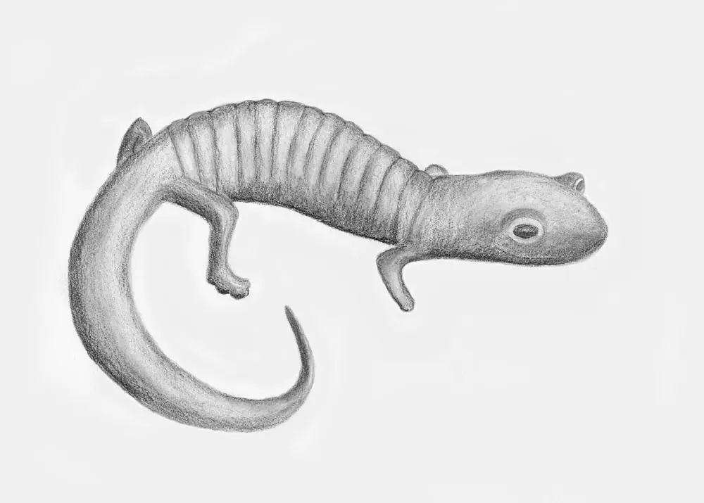 Вимерлий світ | Palaeoplethodon