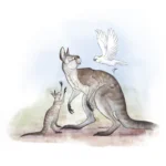 short-faced_kangaroo_simosthenurus_occidentalis