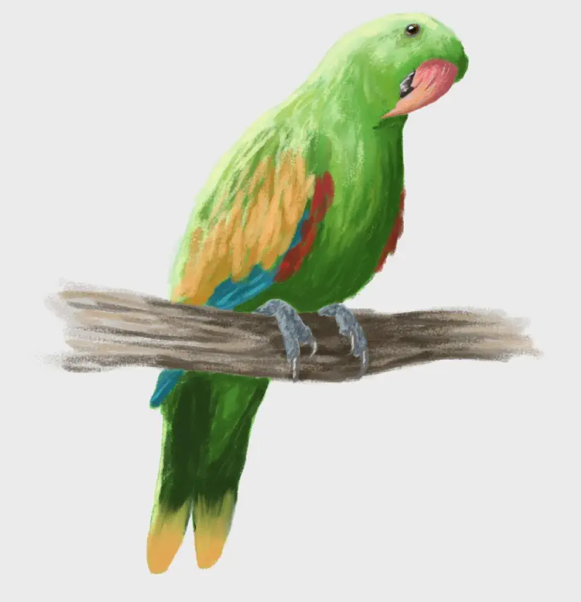 Вимерлий світ | Eclectus infectus