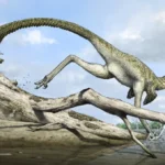 harenadraco_prima-novataxa_2024-lee_park_kim__tsogtbaatar__paleoart_y_choi