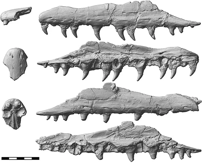 Вимерлий світ | Russellosaurus