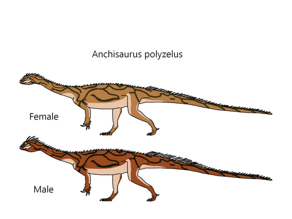 Вимерлий світ | Anchisaurus