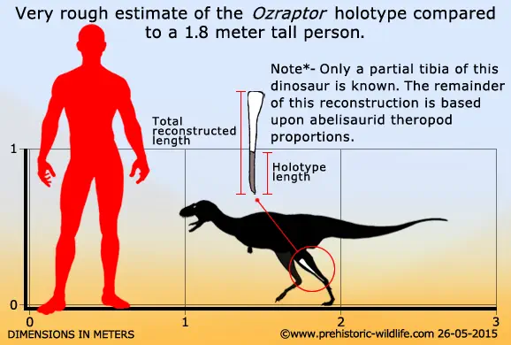 Вимерлий світ | Ozraptor