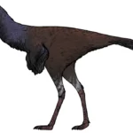 Yuanyanglong_bainian