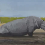 Final-reconstruction-of-Prosantorhinus-douvillei-in-the-Somosaguas-Miocene-landscape