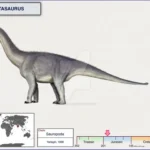 kotasaurus_by_cisiopurple_dcboss4-fullview
