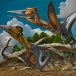 Nipponopterus_mifunensis-novataxa_2024-Zhou_Ikegami_Pegas__paleoArt_Z_Chuang