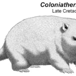 24-coloniatherium