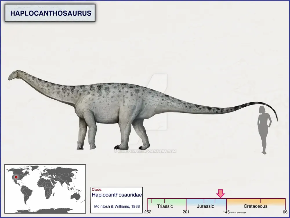 Вимерлий світ | Haplocanthosaurus