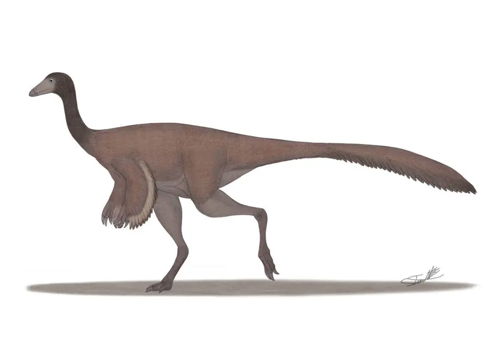 Вимерлий світ | Dzharacursor