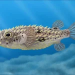 chilomycterus_dzonotensis_by_ladalbarran2001_dj4sbqe-pre