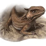 Kapes_bentoni_life_restoration
