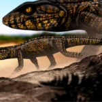 Thilastikosuchus_scutorectangularis-novataxa_2025-Carvalho_Santos__@palaeodaniel