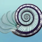 ammonite_by_preradkor_dei747h-pre
