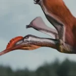 Garudapterus_buffetauti-novataxa_2025-Manitkoon_Pegas__