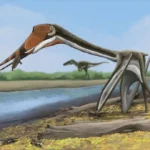 new-pterosaur-just-dropped-v0-0kx5fcvcnwle1