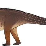 Cienciargentina_sanchezi