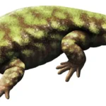 diabloroter