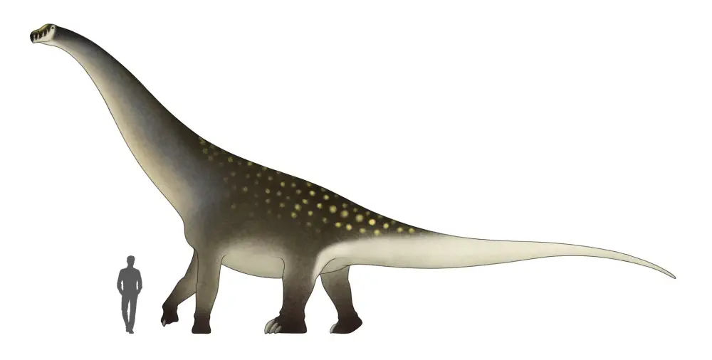 Вимерлий світ | Tangvayosaurus Вимерлий світ | Tangvayosaurus