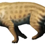 hyainailouros_napakensis-reconstruction