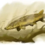 Britosteus_amarildoi-novataxa_2025-Martinelli_Marinho_Panzeri_