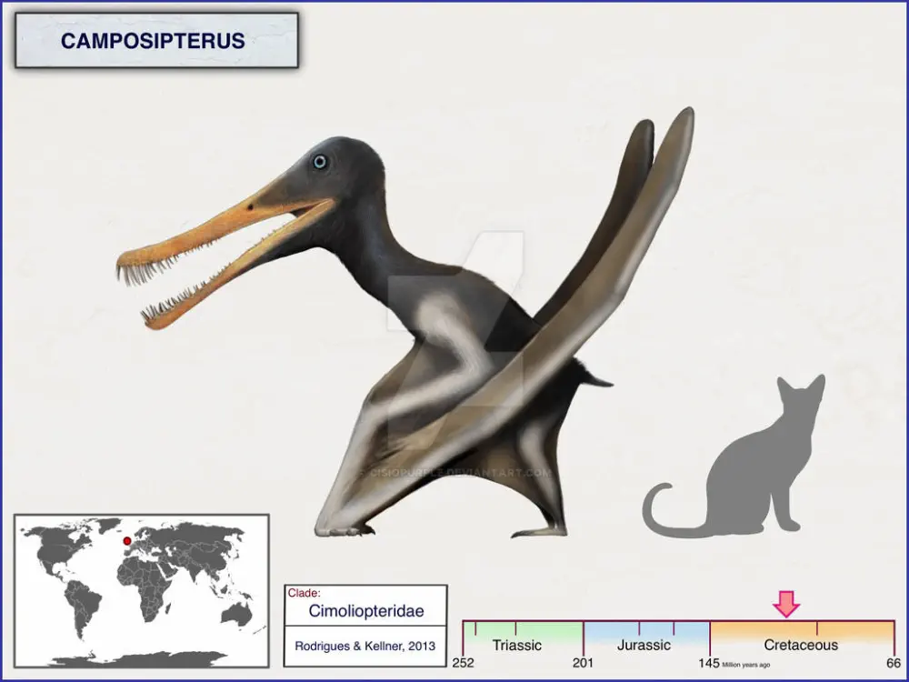 Вимерлий світ | Camposipterus Вимерлий світ | Camposipterus
