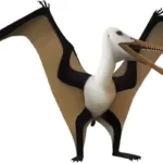 camposipterus_julio-lacerda