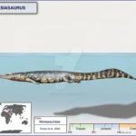 haasiasaurus__by_cisiopurple_djopd84-pre