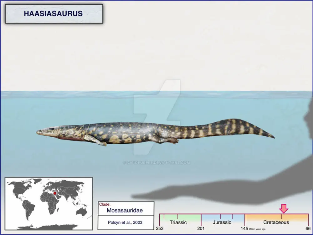 Вимерлий світ | Camposipterus
