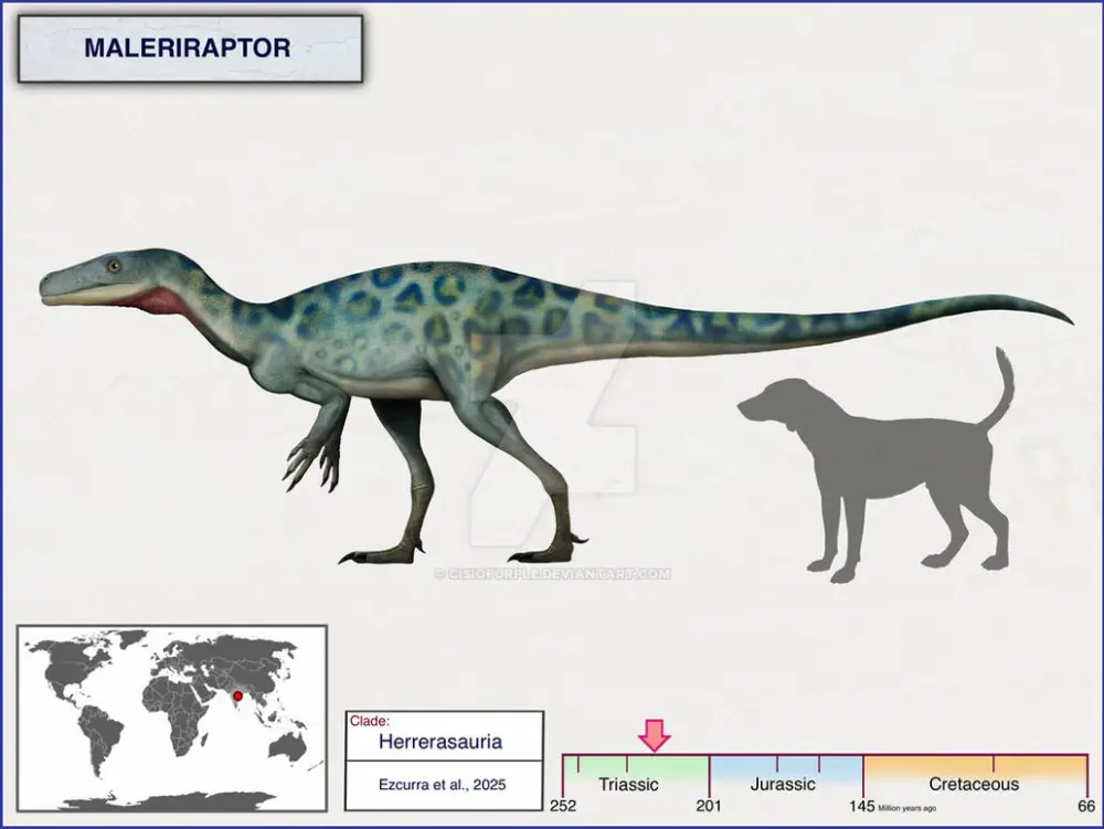 Вимерлий світ | Maleriraptor Вимерлий світ | Maleriraptor
