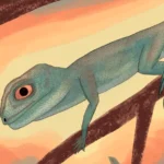 ynews-palacrodon-paleoart-kelsey-jenkins
