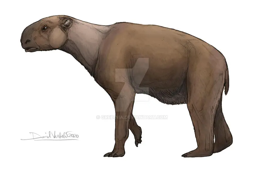 Вимерлий світ | Chasicotherium Вимерлий світ | Chasicotherium