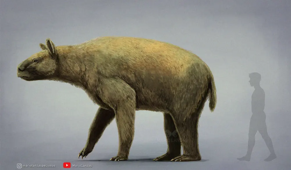 Вимерлий світ | Chasicotherium Вимерлий світ | Chasicotherium