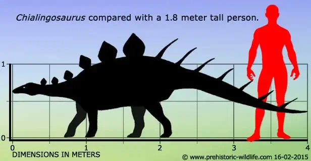 Вимерлий світ | Chialingosaurus Вимерлий світ | Chialingosaurus