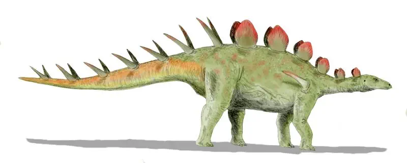 Вимерлий світ | Chialingosaurus Вимерлий світ | Chialingosaurus