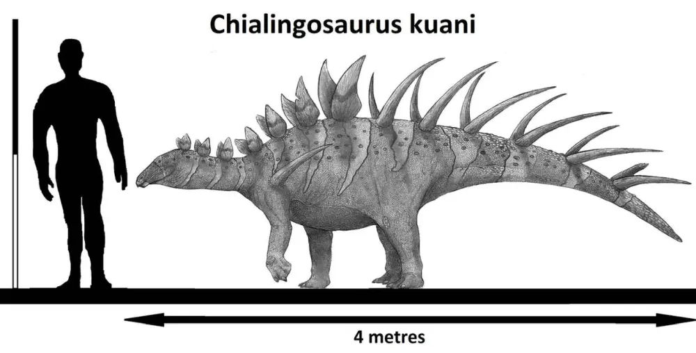 Вимерлий світ | Chialingosaurus Вимерлий світ | Chialingosaurus
