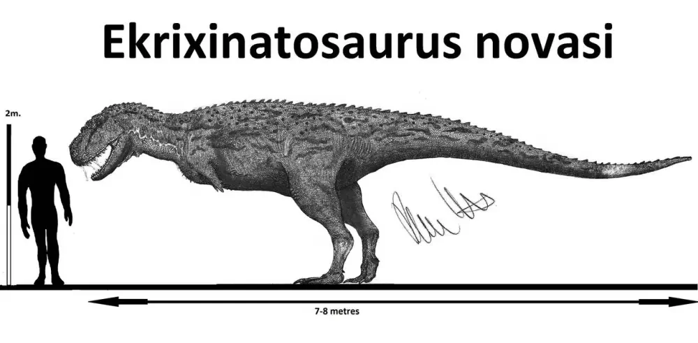 Вимерлий світ | Ekrixinatosaurus Вимерлий світ | Ekrixinatosaurus