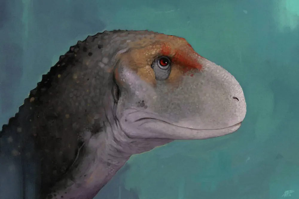 Вимерлий світ | Ekrixinatosaurus Вимерлий світ | Ekrixinatosaurus